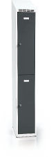  Divided cloakroom locker ALDUR 1 with sloping top 1995 x 300 x 500